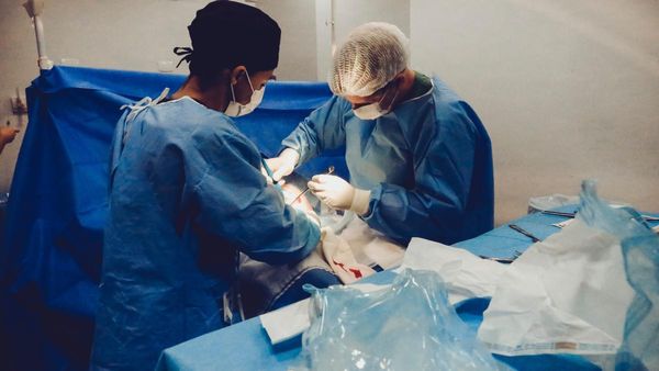 কিডনিতে স্টোন জমার প্রাথমিক লক্ষণগুলি সম্পর্কে জানুন, কীভাবেই বা মিলবে রেহাই