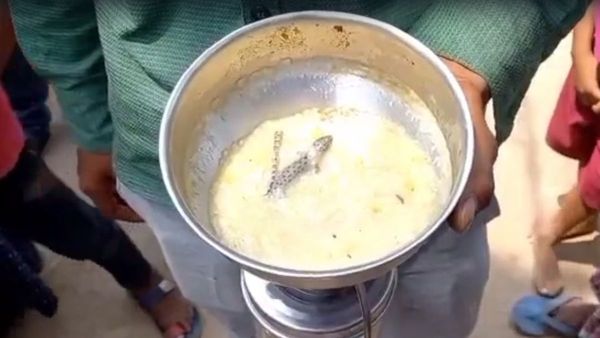 Mid Day Meal: অঙ্গনওয়াড়ি কেন্দ্রের খিচুড়িতে টিকটিকি, অসুস্থ বেশ কয়েকজন পড়ুয়া