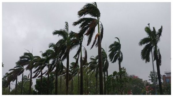 Weather news:সকাল থেকে ভ্যাপসা গরম, বিকেলেই বদলে যাবে আবহাওয়া পূর্বাভাস হাওয়া অফিসের