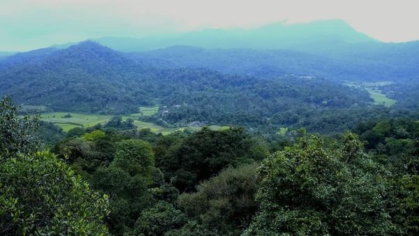Travel: বর্ষায় মোহময়ী দক্ষিণ, হানিমুনের সেরা ঠিকানা হতেই পারে এই জায়গা