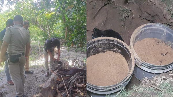 Panchayat Election 2023: বিজেপি নেতার বাড়ি থেকে উদ্ধার বোমা-পিস্তল, পূর্বস্থলীতে চাঞ্চল্য