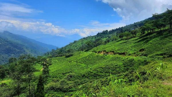 Travel: উত্তরবঙ্গের বালি কোথায় আছে জানেন? বেড়িয়ে আসুন সেই অফবিট লোকেশনে