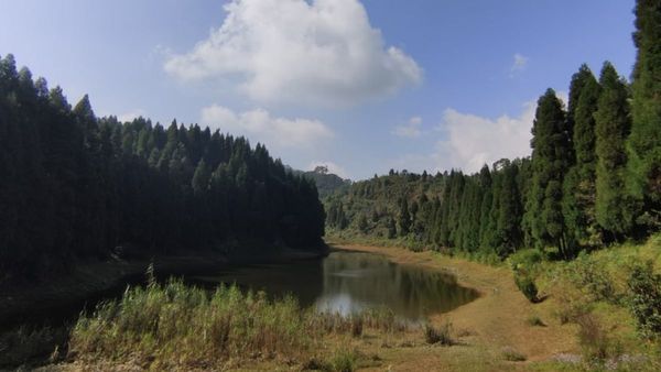 বিরল প্রজাতির স্যালামেন্ডারের বাস এখানে, বেড়িয়ে আসুন নামথিং পোখরি থেকে