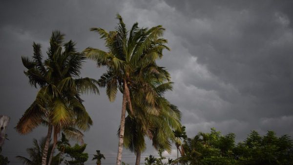 Weather Forecast: মৌসুমি বায়ুর অগ্রগতিতে উত্তরে বৃষ্টির পূর্বাভাস, দক্ষিণে চলবে তাপপ্রবাহ