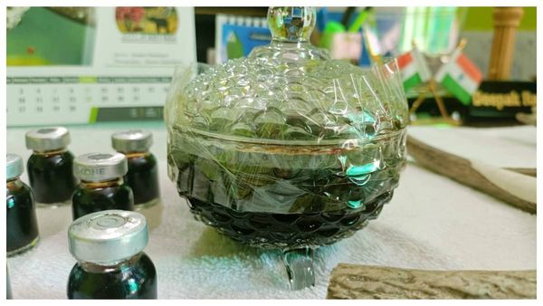 বিক্রির আগে দার্জিলিং-এ উদ্ধার হরিণের চামড়া, শিং ও কোবরার তেল! গ্রেফতার দুই