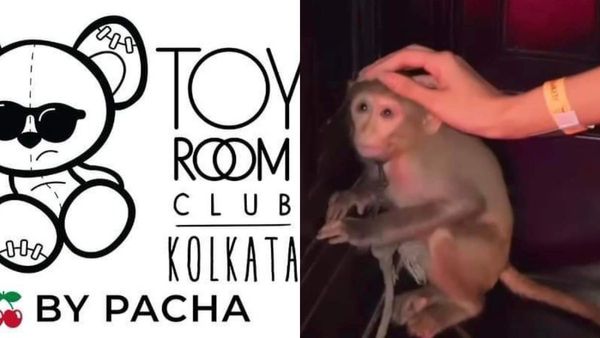 Toy Room Kolkata: কলকাতার পাবে আতঙ্কিত অসহায় বাঁদর! পশুপ্রেমীরা গর্জে উঠতে সাফাই কর্তৃপক্ষের