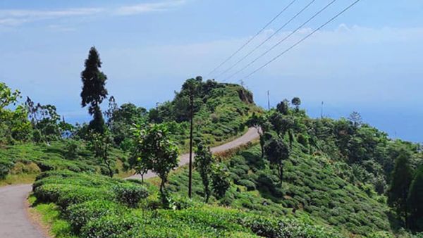 Travel: তুরুক, পাহাড়-নদী-জঙ্গলের এক সারিতে, বেড়িয়ে আসুন উত্তরবঙ্গের এই অফবিট জায়গা থেকে