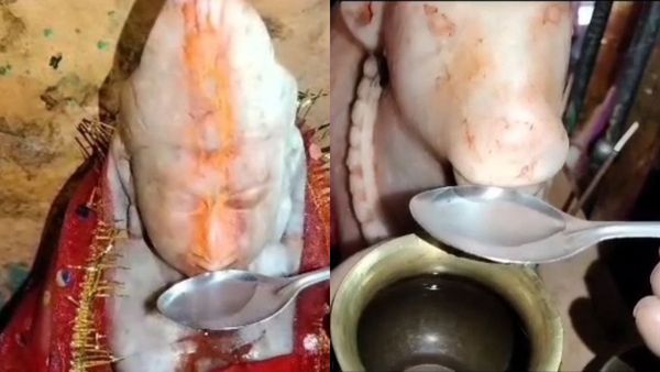 Idols Drinking Water: ভগবানের জল পান ঘিরে শোরগোল! মন্দিরে পুজো দিতে ভক্তদের ভিড় অন্ডালে