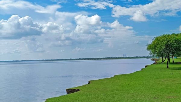 Travel: বর্ষায় উথলে ওঠা নদী, সবুজ ঘাসের গালিচা পাতা বেনাপুর চরে কাটিয়ে আসুন কয়েক ঘণ্টা