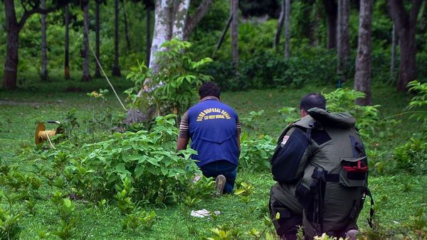 Panchayat Election 2023: ভাঙড়ে জারি ১৪৪ ধারা, সিআইডি তদন্তের নির্দেশ! সিবিআই চাইলেন নওশাদ