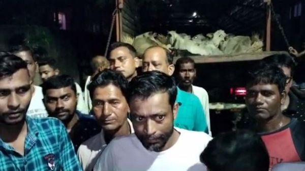রাতের অন্ধকারে গ্রামের রাস্তায় গরু পাচার রুখে দিল এলাকাবাসী, বেগতিক বুঝে ‘দে ছুট’