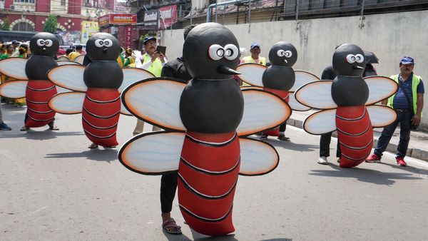Dengue in World: ডেঙ্গি আক্রান্তের সংখ্যা বৃ্দ্ধির কারণ বিশ্ব উষ্ণায়ন! সতর্ক করল হু