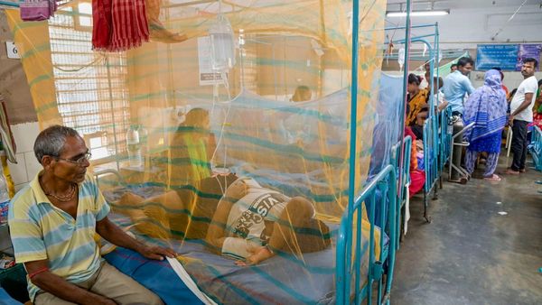 Dengue: ১২ দিনে ৭ জনের মৃত্যু, এখনও চিহ্নিত করা যায়নি ডেঙ্গির প্রজাতি