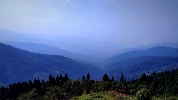 Chopta: ঘরের কাছেই মিনি সুইৎজারল্যান্ড, দার্জিলিং না গিয়ে বেড়িয়ে আসুন এই স্বর্গীয় পাহাড়ি গ্রামে