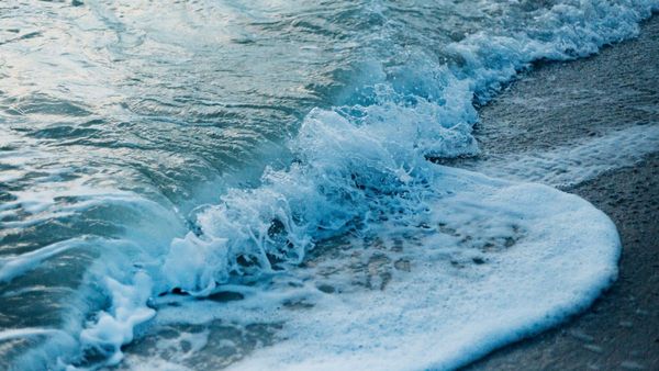 Climate Change: সমুদ্রের জলের রং বদলে যাচ্ছে, নেপথ্যে কোন ‘মহাপ্রলয়ে’র ইঙ্গিত