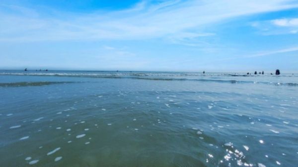  Junput Sea Beach: দিঘার ভিড় এড়িয়ে চলে অসুন এই অচেনা সৈকতে, সপ্তাহান্তের ছুটিতে স্বাদ নিন ইলিশের