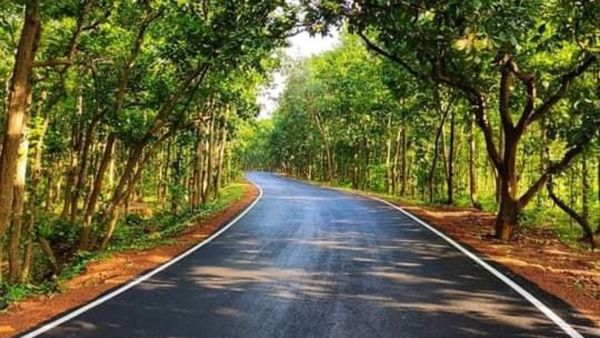 Tepantar Gram: শাল-পিয়ালের জঙ্গলে ছোট্ট কটেজ, বর্ষা উপভোগ করতে চলে আসুন তেপান্তরে