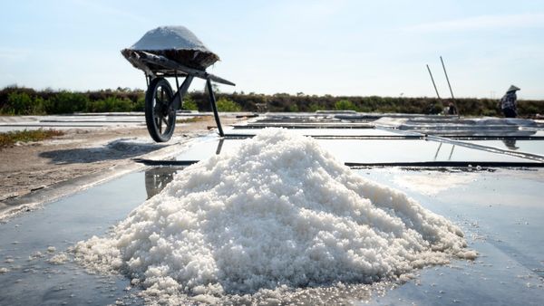 Low Sodium Foods : সোডিয়ামের পরিমাণ নিয়ন্ত্রণে রাখতে কম লবণযুক্ত খাবার খান, কী খাবেন