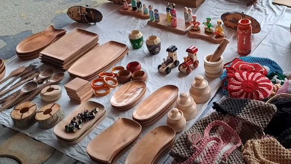 New Town Sonajhuri Hat: মিনি সোনাঝুরি হাট, সপ্তাহান্তের ছুটি কাটানোর নতুন ঠিকানা