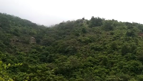 Susunia Pahar: শুশুনিয়া পাহাড়ে একের পর এক 'বোমা' নিক্ষেপ বনদফতরের! কারণ চমকে দেওয়ার মতো