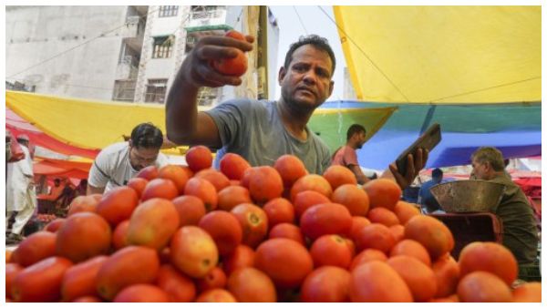 Tomato Price in Kolkata: দেশের মধ্যে কলকাতায় কেন সর্বাধিক টম্যাটোর দাম, পাইকারি বাজারেই লুকিয়ে আসল রহস্য
