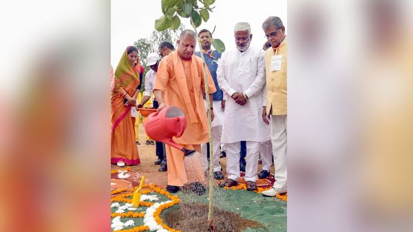 Yogi Adityanath: যোগী সরকারের বৃক্ষরোপণ অভিযান! ছয় বছরে সবুজের বৃদ্ধি ৯%