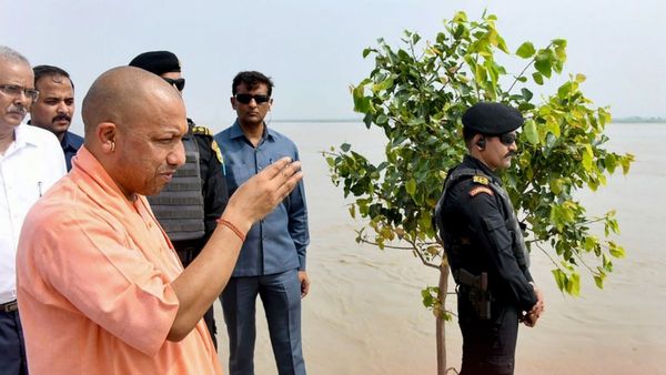 Yogi Adityanath: সবুজে মুড়বে উত্তরপ্রদেশ! বড়সড় নির্দেশ যোগী আদিত্যনাথের