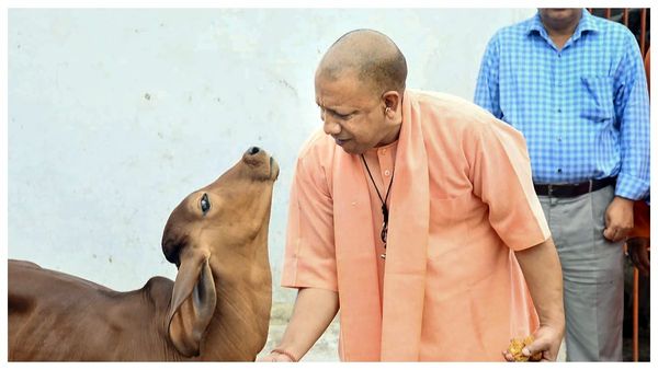 Yogi Adityanath: উত্তরপ্রদেশ সুরক্ষিত ও নিরাপদ! বড় দাবি যোগী আদিত্যনাথের
