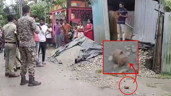 কোচবিহারে ফের উত্তেজনা, বিজেপি যুবমোর্চার সহ সভাপতির বাড়ির সামনে বোমা উদ্ধার