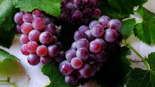 Benefits Of Grapes: জানুন আঙ্গুরের স্বাস্থ্য উপকারিতা সম্পর্কে