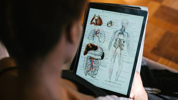 Liver and Kidney Healthy: সুস্বাদু খাবারগুলোই কি ক্ষতি করছে আপনার কিডনি ও লিভারের?