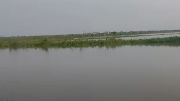 Koipul: বর্ষায় টলটল করছে ঝিলের জল, মাঝ দিয়ে চলে গিয়েছে রাস্তা, বেড়িয়ে আসুন শহরের কাছেই অফবিট লোকেশনে