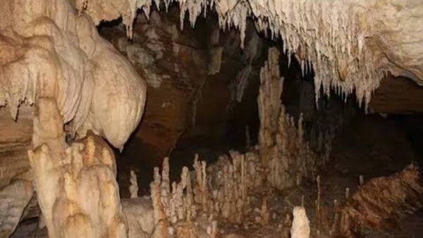 Kotumsar Cave: আদিম মানুষের বাস ছিল এই গুহায়, হাজার হাজার বছরের প্রাচীন সেই স্থান রয়েছে কলকাতার কাছেই