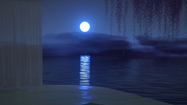 Super Blue Moon: রাখি পূর্ণিমায় দেখুন বিরল নীল সুপারমুন, আকাশের মোহময়ী চাঁদ দেখবেন কবে, কীভাবে?