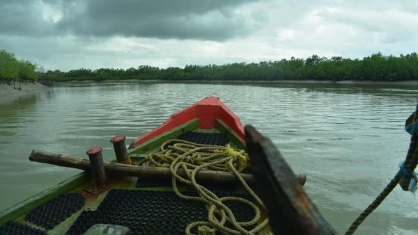 Ilish Festival Sundarban:ইলিশের স্বাদ নিতে নিতে বাঘের দর্শন, সপ্তাহান্তের ছুটিতে বেড়িয়ে আসুন এখানে