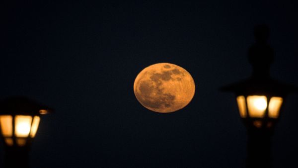 Supermoon 2023: এ মাসেই দ্বিতীয় সুপারমুন ধরা দেবে ব্লু মুন রূপে! কবে কখন দেখবেন সে দৃশ্য