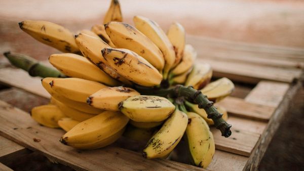 Raw Banana Benefits: পাকা কলার মতোই কি উপকার রয়েছে কাঁচাকলাতেও, কেনই বা খাবেন এটি