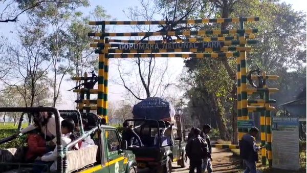 খুলে গেল ডুয়ার্সের জলদাপাড়া-চিলাপাতা, সাফারিতে বেশ কিছু পরিবর্তন আনছে বনদফতর