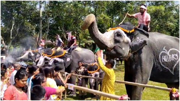 বিশ্বকর্মার বাহন হাতি , তাই ডুয়ার্সের গরুমারা জাতীয় উদ্যানে অভিনব উৎসবে মাতলেন বনকর্মীরা