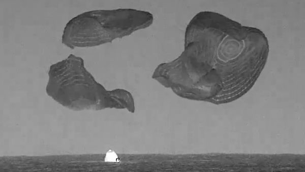 NASA’s Video: মহাকাশে ৬ মাস কাটিয়ে ফিরলেন নাসার নভোচারীরা, দেখুন পৃথিবীতে পদার্পণের সেই দৃশ্য