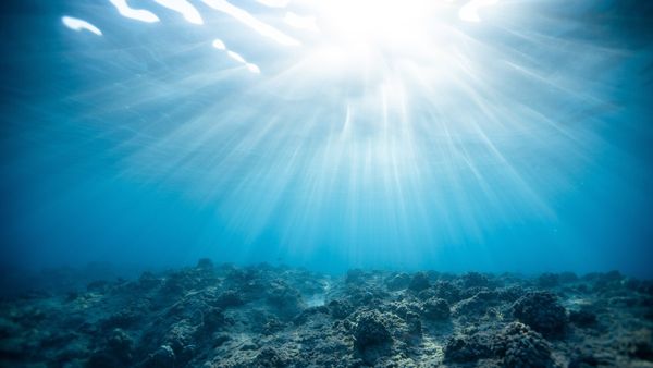 প্রশান্ত মহাসাগরের তলদেশে রহস্যময় ‘সোনার ডিম’! বিজ্ঞানীদের নয়া আবিষ্কারে চাঞ্চল্য