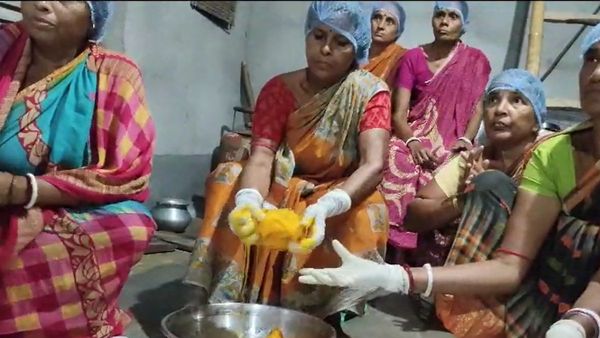 Durga Puja 2023: মা দূর্গার প্রসাদেও এবার তালের বড়া! পথ দেখাচ্ছে 'সঞ্জীবনী'