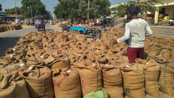 উৎসবের মরশুমে মুদ্রাস্ফীতি নিয়ন্ত্রণ! চাল-ডাল-চিনি নিয়ে বড় পদক্ষেপ মোদী সরকারের