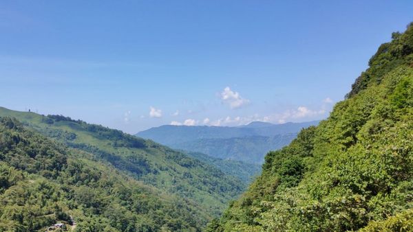 Travel: দার্জিলিংয়ের কাছেই কালেজ পাখির আস্তানা, বেড়িয়ে আসুন এমন অফবিট উপত্যকায়