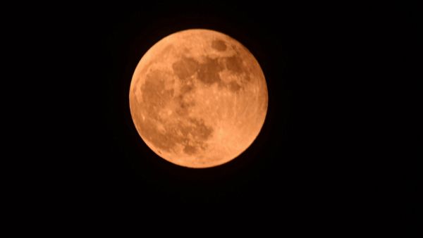 Sharad Purnima 2023: একই দিনে শারদ পূর্ণিমা, চন্দ্রগ্রহণ, এবারও খোলা আকাশের নীচে ক্ষীর রাখবেন?