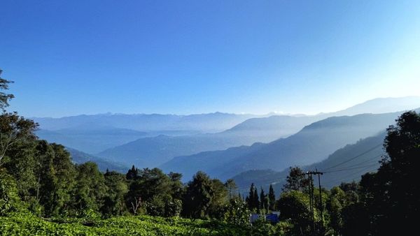Travel: কাঞ্চনজঙ্ঘার ক্লিয়ার ভিউ পেতে হলে চলে আসুন কালিম্পংয়ের কাছে মাইরুং গাঁওয়ে