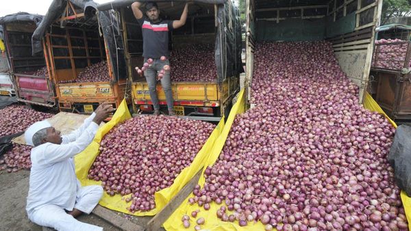 Onion Price Hike: ৮০ টাকা কেজি পেঁয়াজ, সত্যিই কি যোগান সংকট না নেপথ্যে অন্য কোনও কারণ