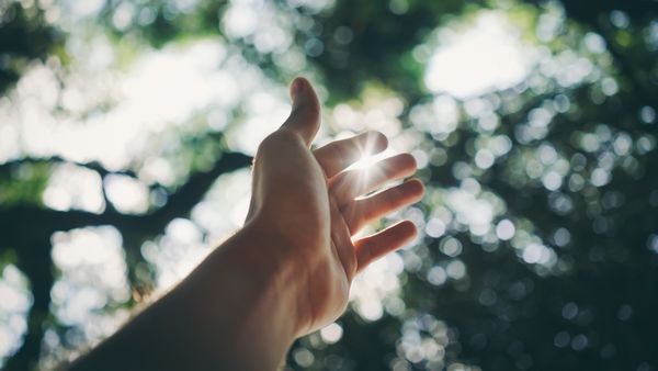 Health Tips: সূর্যের আলো গায়ে লাগলে এই মারণ রোগগুলি শরীরে কখনোই বাসা বাঁধতে পারবে না