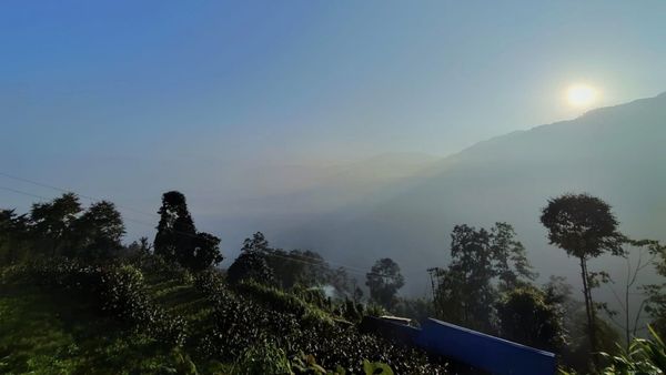 Travel: কালিম্পংয়ের কাছে একেবারে অচেনা জায়গা ইয়াং মাকুম, এখানে এলে দু'দিনেই ফ্রেশ হয়ে যাবেন