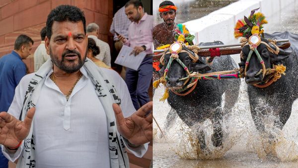 Kambala Event: ব্রিজ ভূষণকে নিয়ে তুঙ্গে বিতর্ক! পিছু হঠলেন কাম্বালার উদ্যোক্তারা